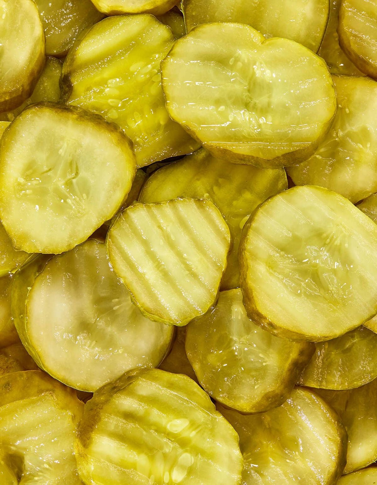 Homemade Dill Pickles